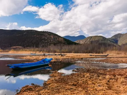 BigWins Casino Mobil App